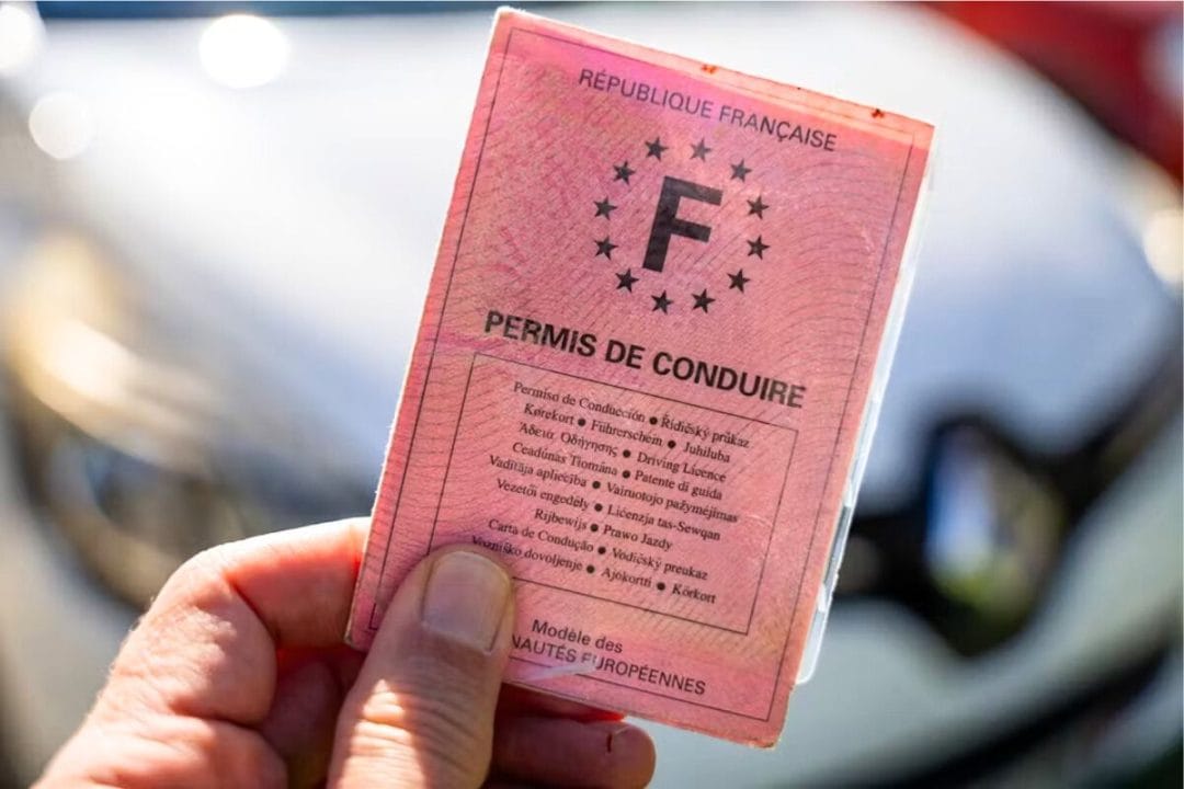 Permis de conduire rose