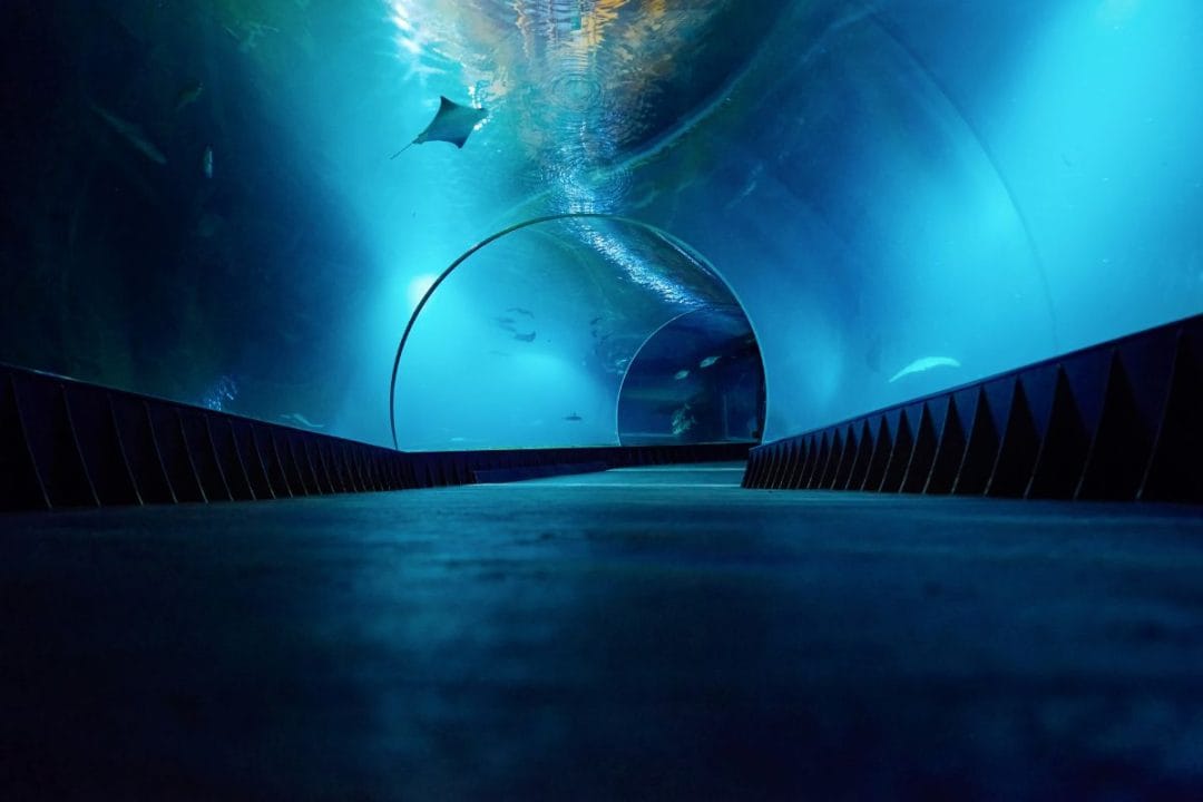 Tunnel géant sous-marin européen