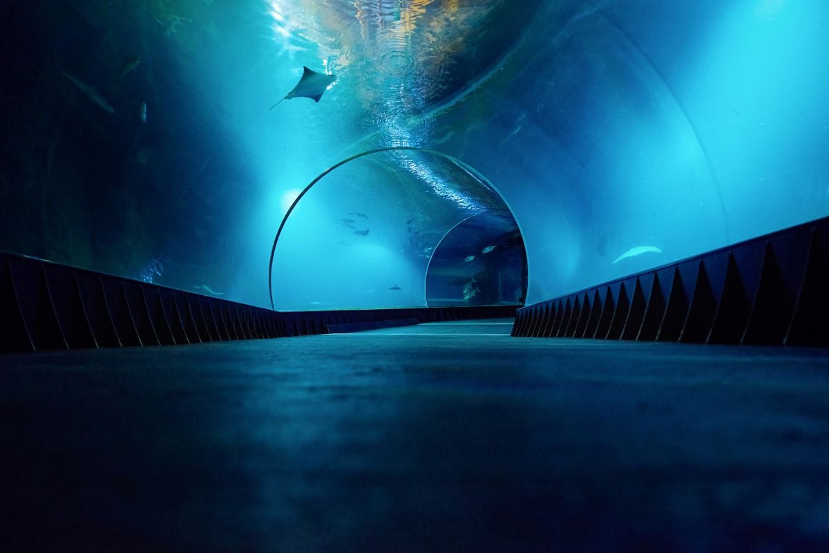Tunnel géant sous-marin européen