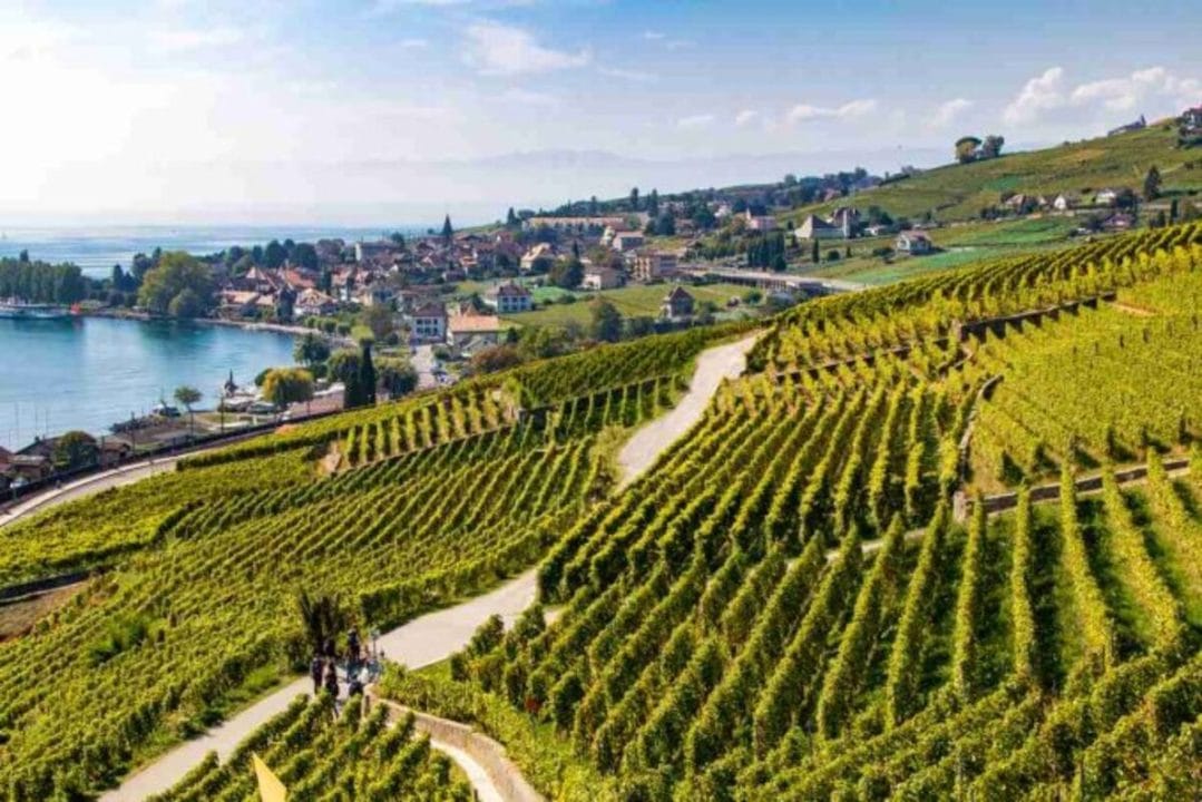 Fête des vendanges à Chardonne